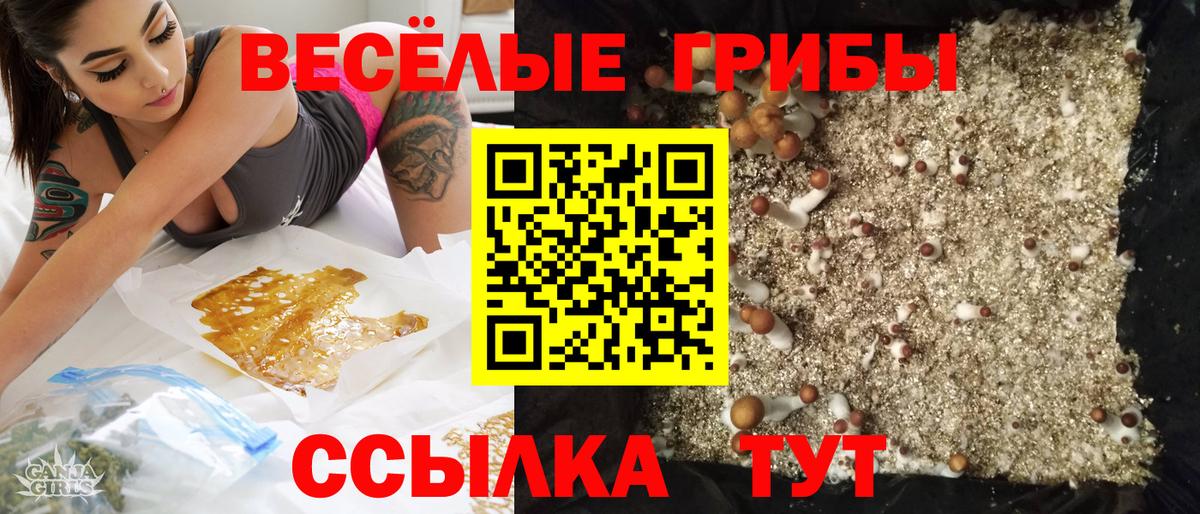 Галлюциногенные грибы Psilocybe  Галлюциногенные грибы мухоморы  где продают   Вход с VPN  Балтийск 